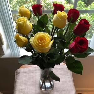 Meet your Posher, Nancy